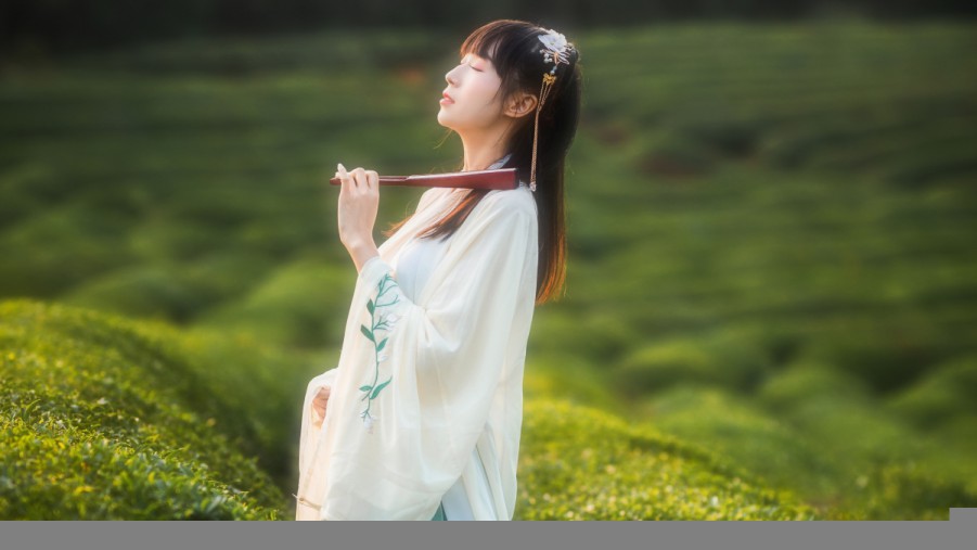新快手成人牌的主要特点与选择注意事项